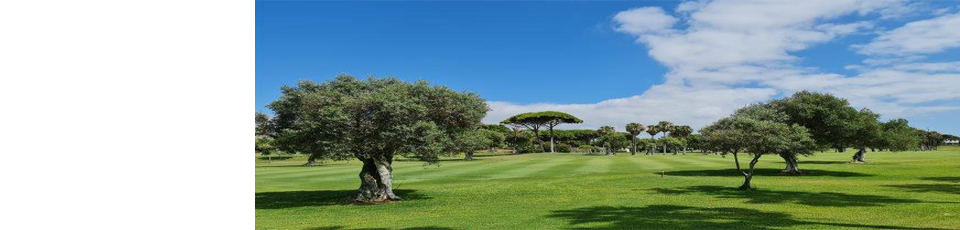 Properties for Rent in El Puerto de Santa Maria