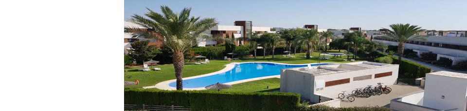 Houses for rent in Rota Area